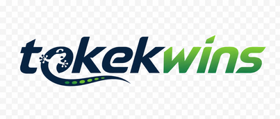 Logo tokekwins berwarna cerah